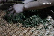 存普洱茶用什么器皿好？-完整指南