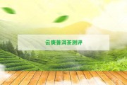 云庚普洱茶測評(píng)