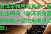 普洱茶和西洋參能一起泡水喝嗎「普洱茶和西洋參能一起泡水喝嗎功效」