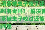 普洱茶被蟲子咬了還能喝嗎有毒嗎？-解決普洱茶被蟲子咬過(guò)還能用的疑問(wèn)