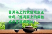 普洱茶上的黃色點(diǎn)點(diǎn)正常嗎「普洱茶上的黃色點(diǎn)點(diǎn)正常嗎圖片」