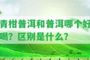 青柑普洱和普洱哪個好喝？區(qū)別是什么？