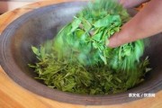 東能種茶葉嗎？現(xiàn)在和冬最新消息解析