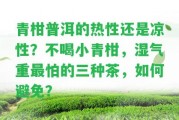 青柑普洱的熱性還是涼性？不喝小青柑，濕氣重最怕的三種茶，怎樣避免？