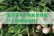 普洱茶中的棉絮狀物是什么物質(zhì)組成的？