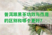 普洱跟黑茶功效與作用的區(qū)別和哪個(gè)更好？