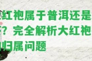 大紅袍屬于普洱還是紅茶？完全解析大紅袍茶的歸屬疑問