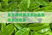 星月菩提普洱茶染色教程及留意事