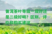 普洱茶葉等級一級好還是二級好喝？區(qū)別、評價和購買建議