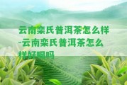 云南欒氏普洱茶怎么樣-云南欒氏普洱茶怎么樣好喝嗎