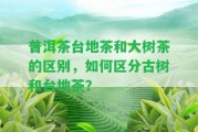 普洱茶臺地茶和大樹茶的區(qū)別，怎樣區(qū)分古樹和臺地茶？