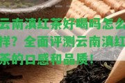 云南滇紅茶好喝嗎怎么樣？全面評測云南滇紅茶的口感和品質(zhì)！