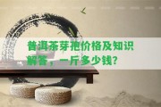 普洱茶芽孢價(jià)格及知識解答，一斤多少錢？