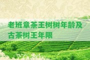 老班章茶王樹樹年齡及古茶樹王年限