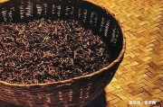 深圳普洱茶專賣店：品牌、地址、推薦！