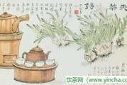 茶美容法，綠茶沖泡方法