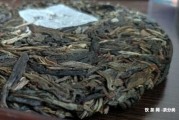 風雅茶是普洱茶嗎