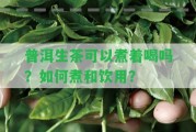 普洱生茶可以煮著喝嗎？怎樣煮和飲用？