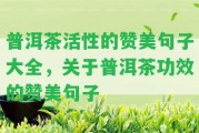 普洱茶活性的贊美句子大全，關(guān)于普洱茶功效的贊美句子