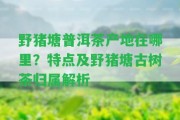 野豬塘普洱茶產地在哪里？特點及野豬塘古樹茶歸屬解析