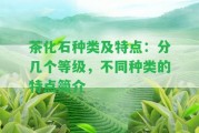 茶化石種類及特點：分幾個等級，不同種類的特點簡介