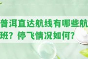 普洱直達航線有哪些航班？停飛情況怎樣？