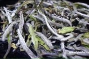 青云號(hào)普洱茶冰島「青云號(hào)普洱茶野生」