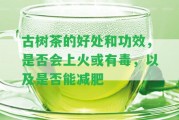 古樹茶的好處和功效，是不是會上火或有毒，以及是不是能減肥