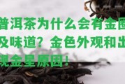 普洱茶為什么會有金圈及味道？金色外觀和出現(xiàn)金星起因！