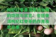 枸杞紅棗普洱茶泡水喝的功效與禁忌：包含普洱枸杞紅棗茶的作用及禁忌事