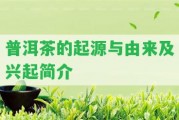 普洱茶的起源與由來及興起簡介