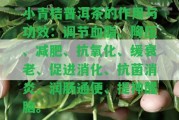 小青桔普洱茶的作用與功效：調(diào)節(jié)血脂、降壓、減肥、抗氧化、緩衰老、促進消化、抗菌消炎、潤腸通便、提神醒腦。