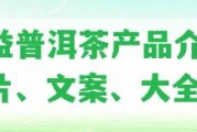 大益普洱茶產品介紹：圖片、文案、大全