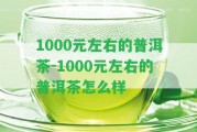 1000元左右的普洱茶-1000元左右的普洱茶怎么樣