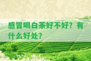 感冒喝白茶好不好？有什么好處？