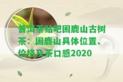 普洱茶貼吧困鹿山古樹茶：困鹿山具體位置、價格及茶口感2020