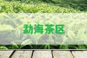 勐海茶區