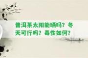 普洱茶太陽能曬嗎？冬天可行嗎？毒性怎樣？