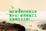 加工普洱茶的關鍵工序是什么？普洱茶加工工藝有哪幾個工序？