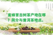 蜜蜂箐古樹(shù)茶產(chǎn)地在哪？簡(jiǎn)介與普洱茶地點(diǎn)。