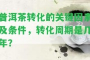 普洱茶轉化的關鍵因素及條件，轉化周期是幾年？