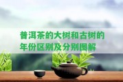 普洱茶的大樹和古樹的年份區(qū)別及分別圖解