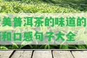 贊美普洱茶的味道的詞語和口感句子大全