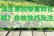 普洱生茶放哪里轉(zhuǎn)化最好喝？存放技巧及留意事。