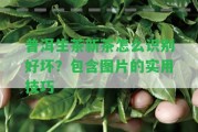 普洱生茶新茶怎么識(shí)別好壞？包含圖片的實(shí)用技巧