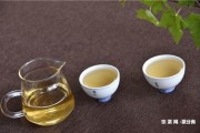 普洱茶人與茶的對(duì)話