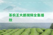 茶農(nóng)王大鵬視頻全集播放