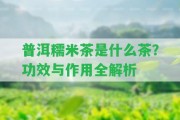 普洱糯米茶是什么茶？功效與作用全解析