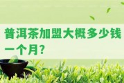 普洱茶加盟大概多少錢一個月？