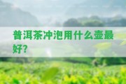 普洱茶沖泡用什么壺最好？